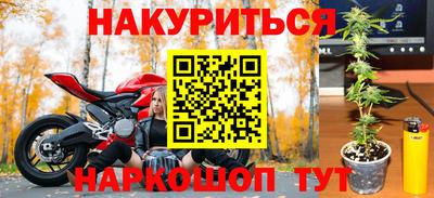 прущие грибы Изобильный