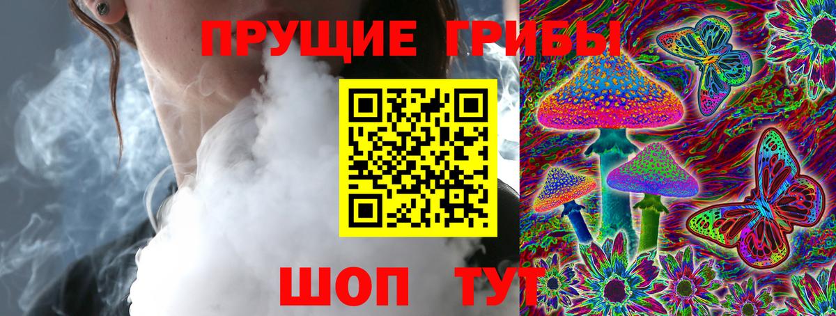 Гусиноозёрск  Псилоцибиновые грибы Magic Shrooms  Вход с VPN 